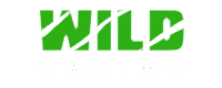 Wild Casino